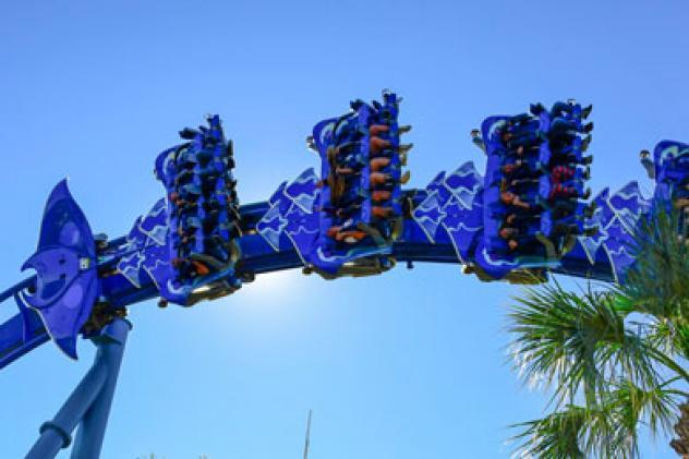 Manta Coaster